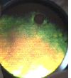fond oeil 2