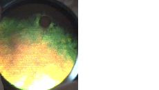 fond oeil 2